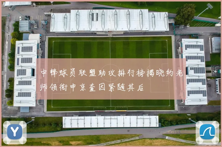 中锋球员联盟助攻排行榜揭晓约老师领衔申京奎因紧随其后