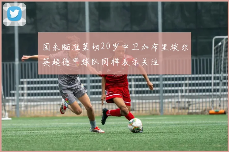 国米瞄准莱切20岁中卫加布里埃尔英超德甲球队同样表示关注