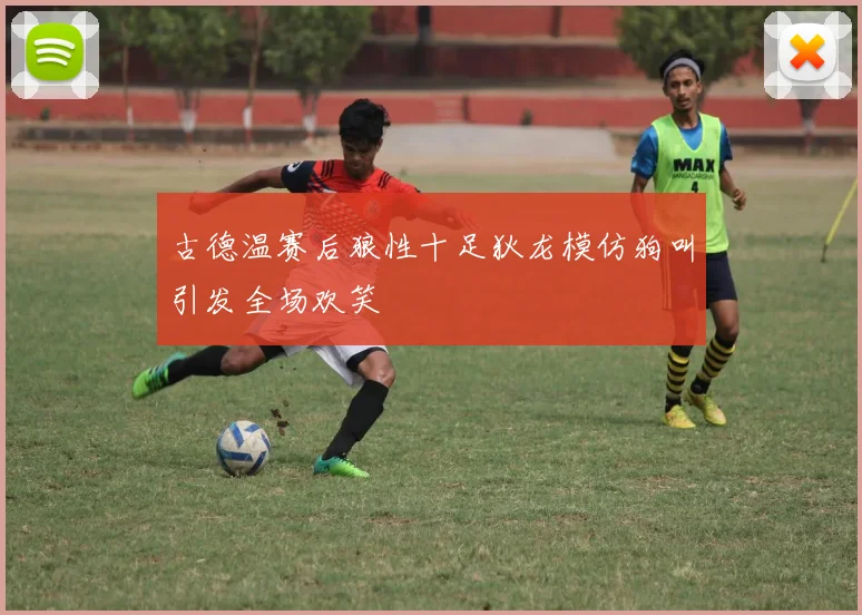 古德温赛后狼性十足狄龙模仿狗叫引发全场欢笑