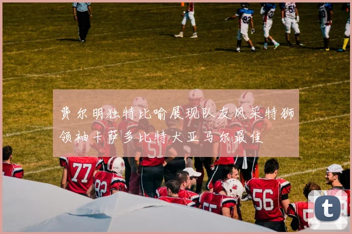费尔明独特比喻展现队友风采特狮领袖卡萨多比特犬亚马尔最佳