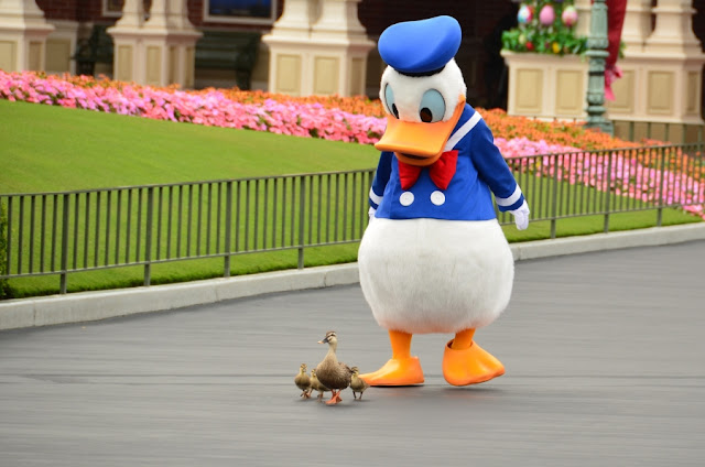 The Day Donald Duck Found His Family