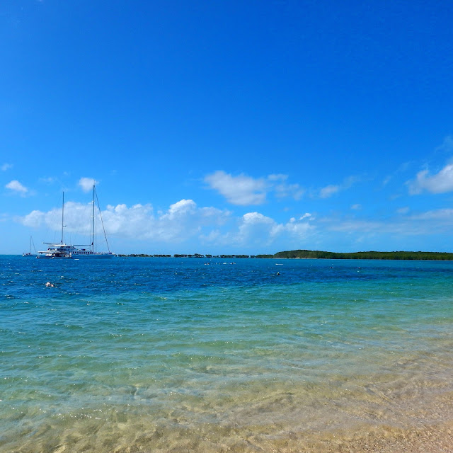 Low Isles & The Great Barrier Reef