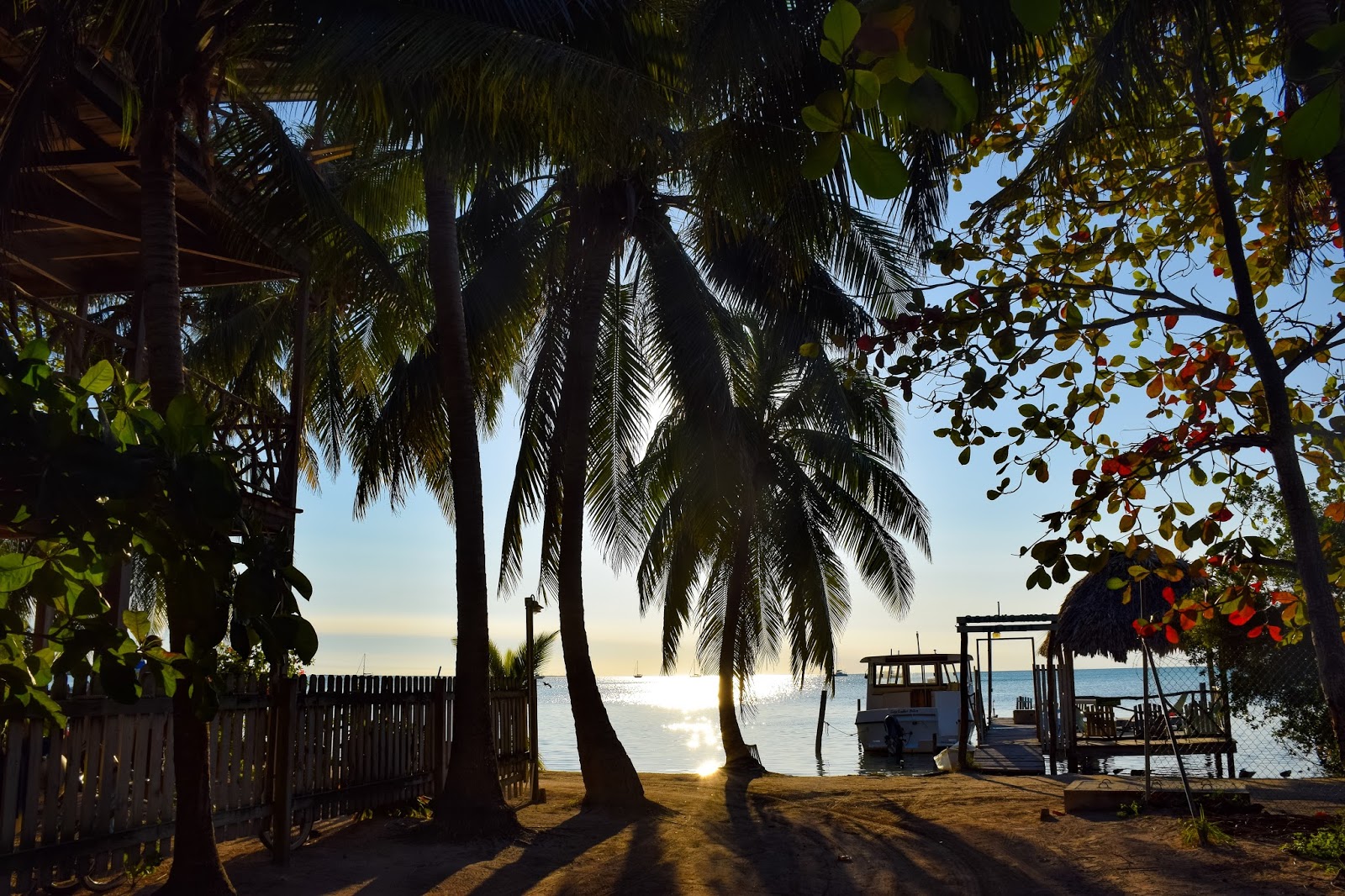 Island Life Part 2: Caye Caulker