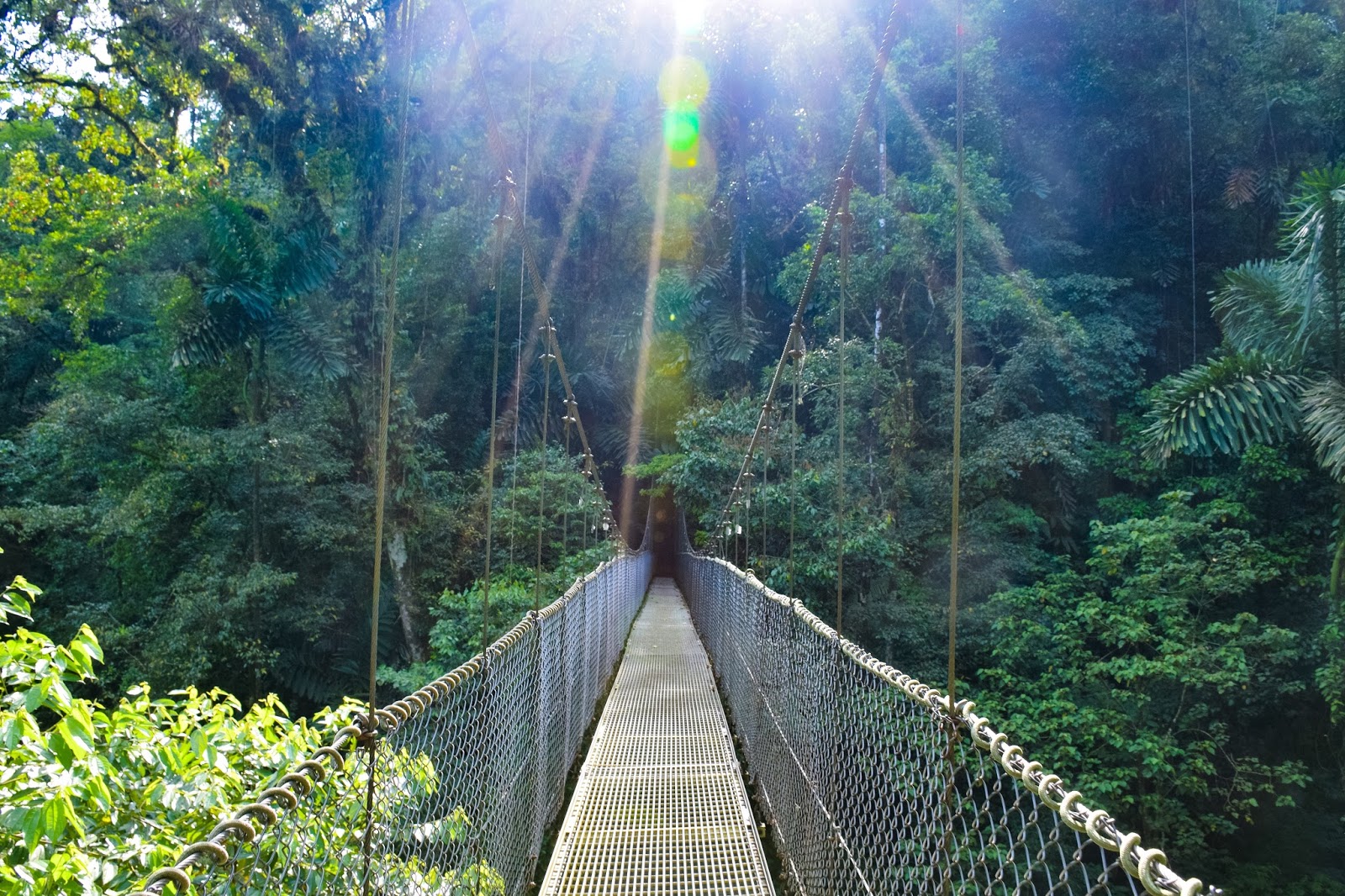 The Arenal Hanging Bridges