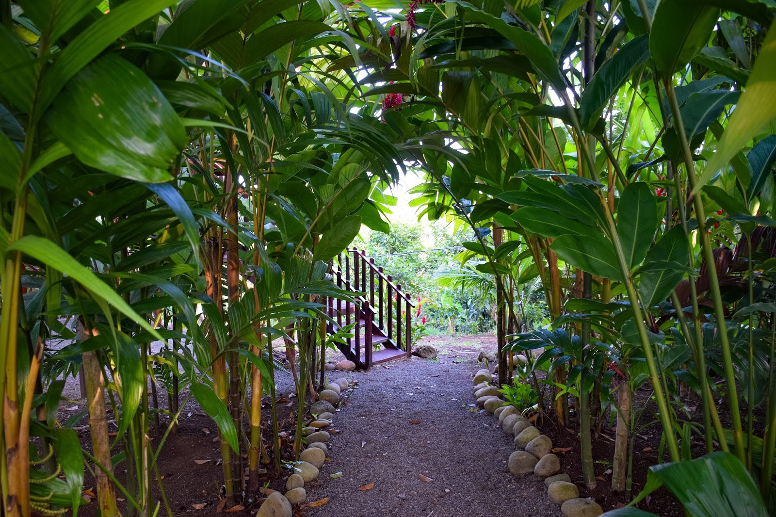 Staying in a Costa Rican Treehouse