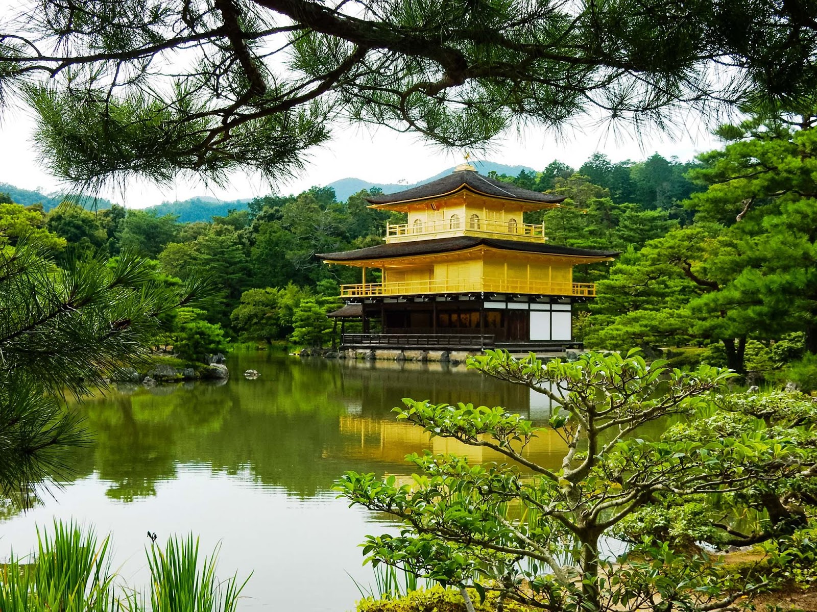 Kinkaku-ji, The Golden Pavilion