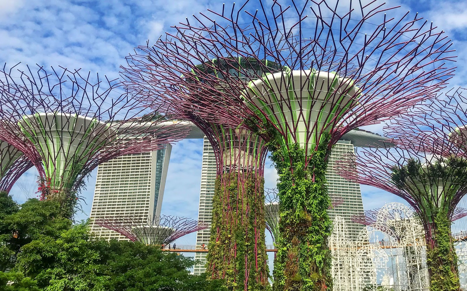 Stepping Into The Future at Gardens By The Bay